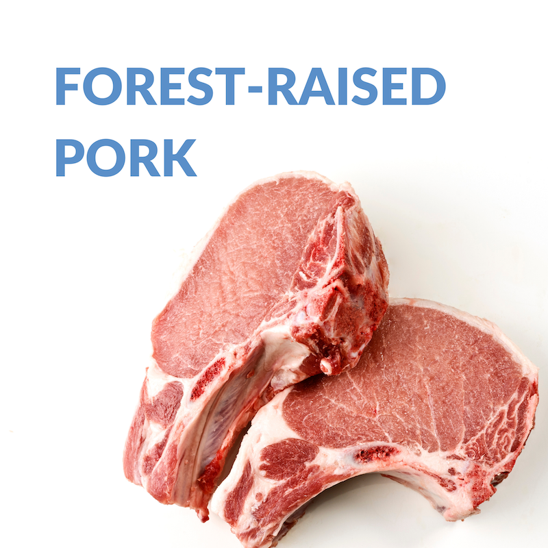 Forest-Raised Pork Chops
